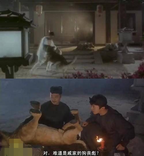 《當家主母》虐貓？這些影視劇的動物們也很慘，有些甚至立過功