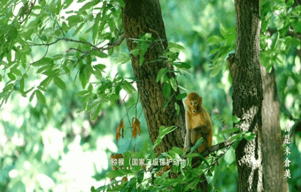 鼓城山-七里峽景區拍了拍你，國慶出遊不用愁，收藏此文任君遊