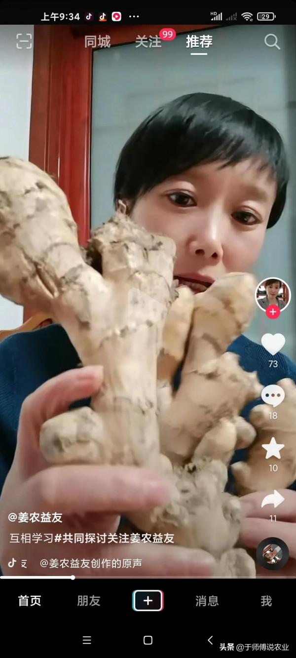 一位細心人把兩種姜作了一個詳細對比，真是沒有對比就沒有傷害啊