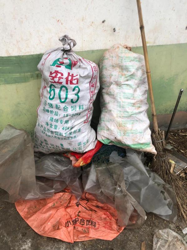 今年的生日願望很簡單