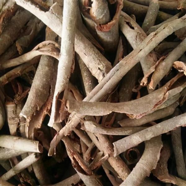 腰肌勞損的康復之路：中藥的調理之法