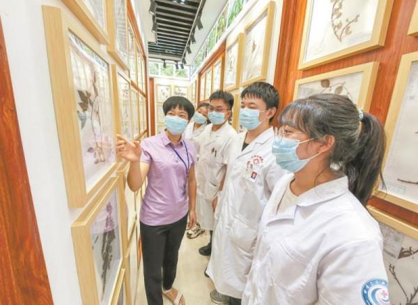 永春縣首家中草藥標本館落成