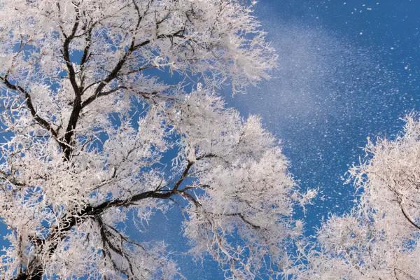 新疆霧凇,這才是完美冬天的開啟方式,真正的冰雪王國... 新疆霧凇,這才是完美冬天的開啟方式,真正的冰雪王國...