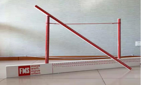 新兵帶&OpenCurlyDoubleQuote;貨&rdquo;丨FMS測試套件