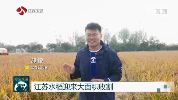 江蘇水稻迎來大面積收割 無人農機“一條龍”作業 節肥減藥增產