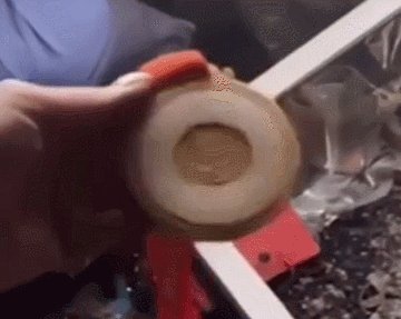 冬奧會倒計時，外國記者的包又雙叒被盯上了！真香……