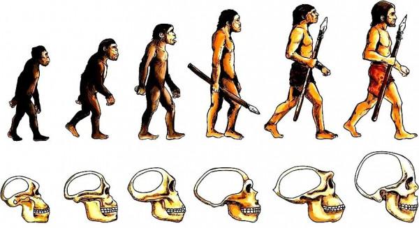 為什麼人類文明能在短短几千年內稱霸地球? 為什麼人類文明能在短短几千年內稱霸地球?