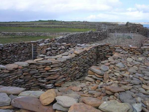 全世界僅三千隻,被烤成獻給英國女王擼的絕品羊肉串 全世界僅三千隻,被烤成獻給英國女王擼的絕品羊肉串