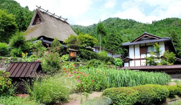 38間破茅草房竟成網紅村，每年30萬人打卡，美麗鄉村怎離得開