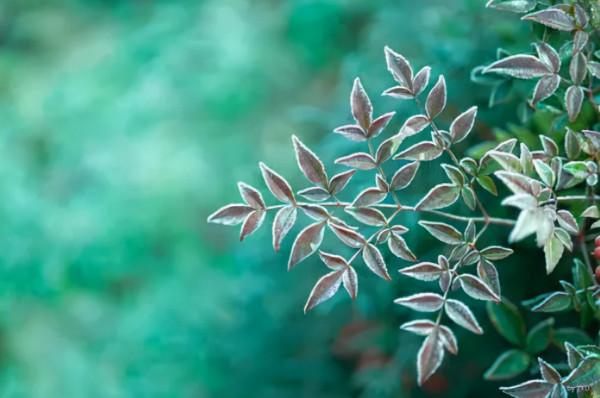 冬寒竟如此 凍吟成此詩，十首苦寒詩詞，感受詩人筆下的冬天有多冷