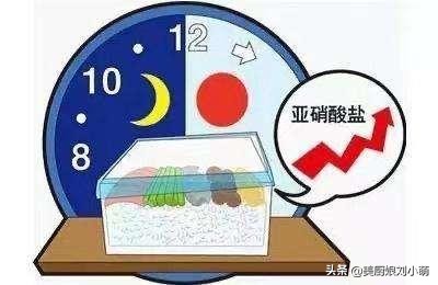 為了健康，無論平時怎麼節約，這6種&OpenCurlyDoubleQuote;隔夜菜&rdquo;儘量少吃