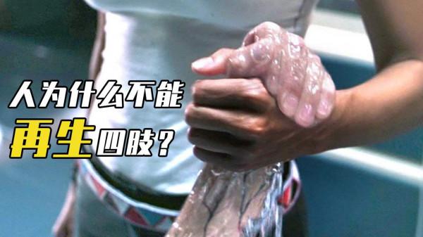 未來人類能肢體再生？像壁虎一樣斷手斷腳都不怕，這是真的嗎？