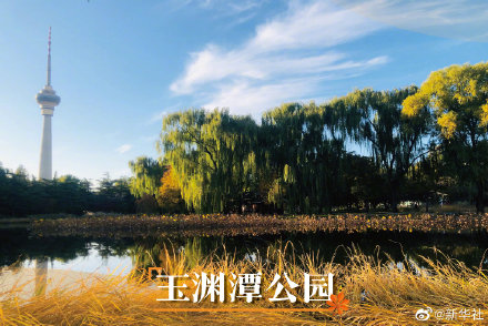 打卡北京秋日美景