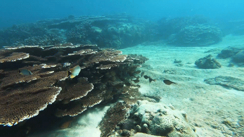 高鐵0.5h、物價只有一半，我願稱她為三亞最強備胎