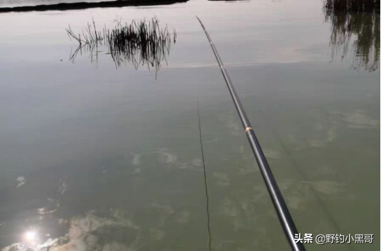 釣魚掌握好這4點“黃金因素”，新老釣友都能提竿到手軟
