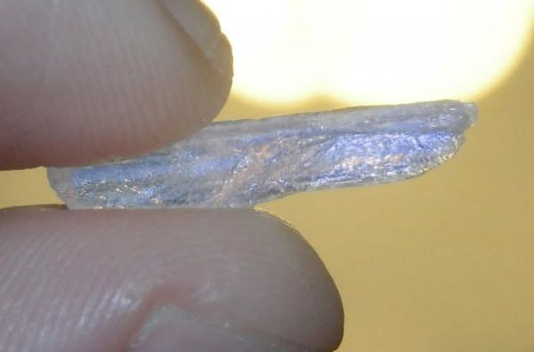 一條魚嗑了藥,也會上癮嗎? 一條魚嗑了藥,也會上癮嗎?