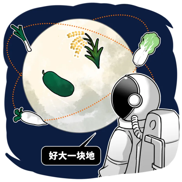 中國人到底有多愛種菜?(太空版,新知識) 中國人到底有多愛種菜?(太空版,新知識)