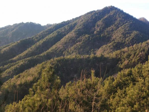 忘掉了時光，怎麼會快快老去？