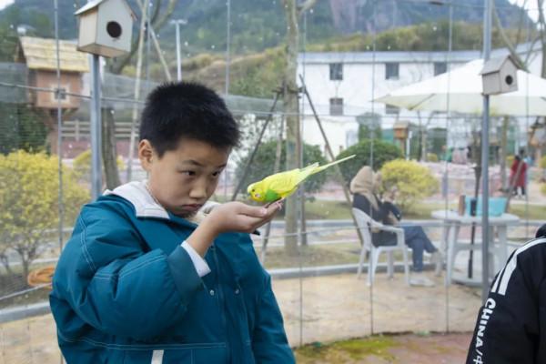 溫暖過年嘉遊贛 &vert; 【虎年添&OpenCurlyDoubleQuote;福&rdquo;氣！】春節怎麼玩？賽石城&CenterDot;花樂園給你不一樣的春節體驗~