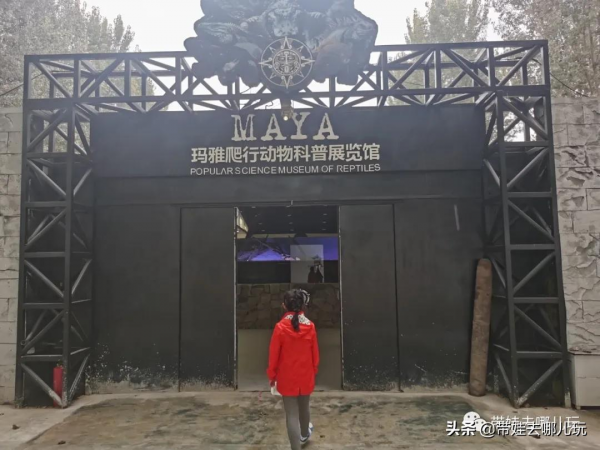 北京新開一家動物園,可以和老虎共進午餐 北京新開一家動物園,可以和老虎共進午餐