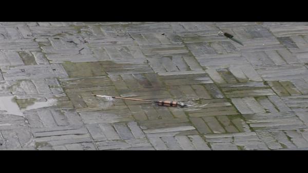 大猛哥說電影——《圖蘭朵:魔咒緣起》——資本的力量是無窮的 大猛哥說電影——《圖蘭朵:魔咒緣起》——資本的力量是無窮的