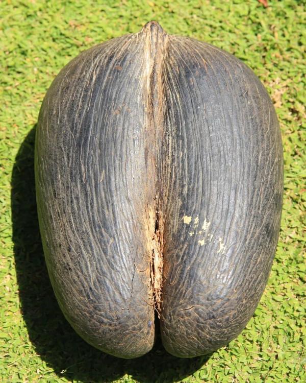 10年深度+豪華遊玩60國