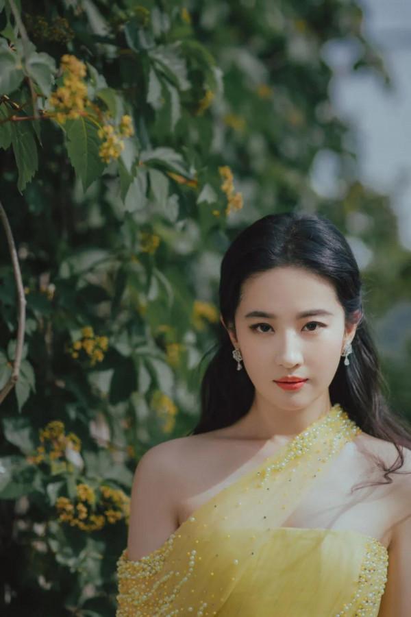 恃美行兇,劉亦菲 恃美行兇,劉亦菲