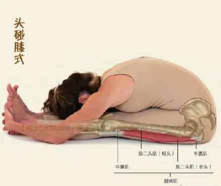 5個瑜伽放鬆姿勢