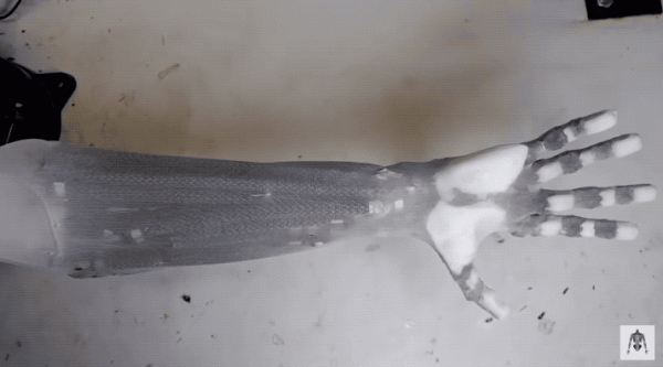 人造肌肉機械臂太逼真引熱議,舉7kg啞鈴“肌肉”清晰可見 人造肌肉機械臂太逼真引熱議,舉7kg啞鈴“肌肉”清晰可見