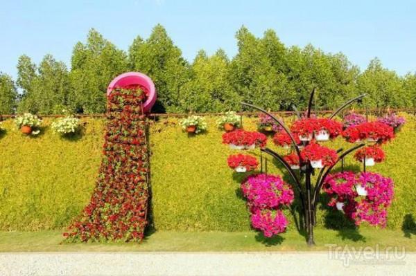 分享，最美花卉公園，收藏了