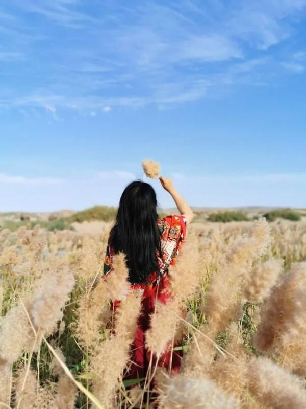 國內最值得去的40個地方，個個美如畫，少去一個都可惜