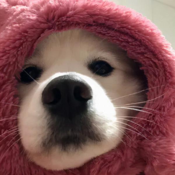 精美頭像：十二星座應該怎樣解決空虛寂寞呢？內容太真實了