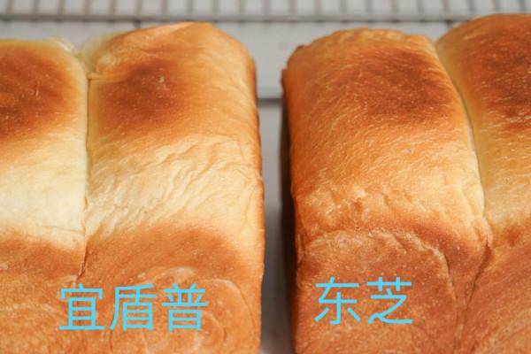 廚面式微蒸烤箱的無死角對比評測：宜盾普星鮮廚VS東芝水波爐