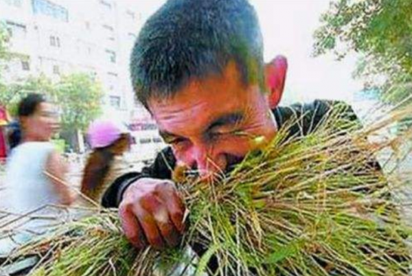 龔清孝：因口渴無意吃了一把草，從此上癮戒不掉，34年吃了40噸草