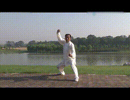 太極拳收式竟然這麼多講究？！打拳再也不能虎頭蛇尾