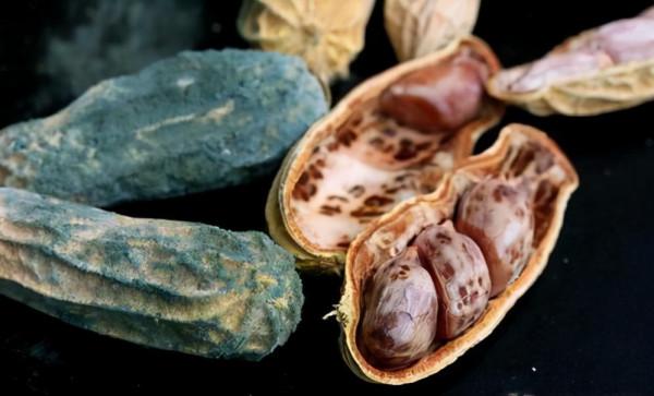 炒菜時先放大蒜,會產生致癌物嗎?醫生道出答案,早了解早明白 炒菜時先放大蒜,會產生致癌物嗎?醫生道出答案,早了解早明白