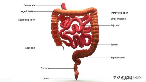 男子腹痛,以為闌尾炎,直到出現口腔潰瘍才發現闌尾切錯了 男子腹痛,以為闌尾炎,直到出現口腔潰瘍才發現闌尾切錯了