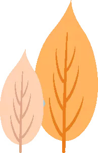 錯過等一年！金山這裡的“楓”景獨好