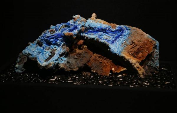 白堊紀山東恐龍全揭秘，山東博物館備齊大展迎春節