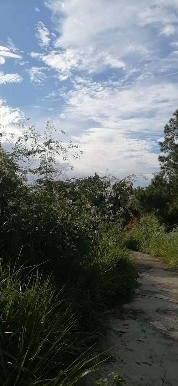 雲彩下的山城系列（四）