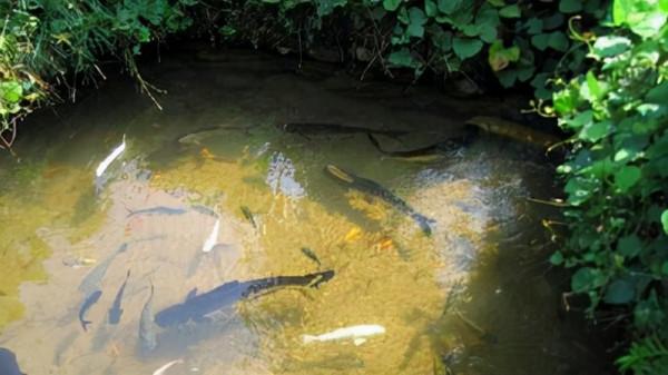 遙想八零後的童年生活(第十篇) 遙想八零後的童年生活(第十篇)