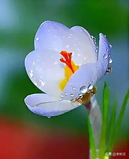 韓永海巜賦閒》