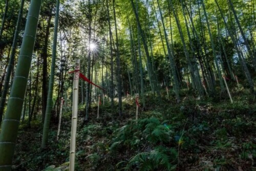 1343座無名豐碑,埋藏在深山中的紅軍醫院…… 1343座無名豐碑,埋藏在深山中的紅軍醫院……