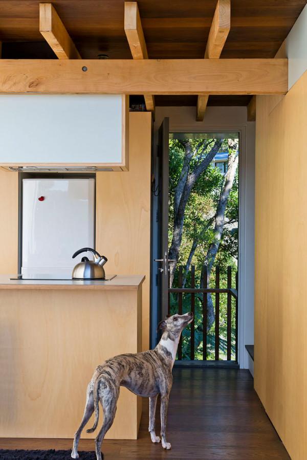 建築師在紐西蘭50平米的生活、工作和休閒的小房子