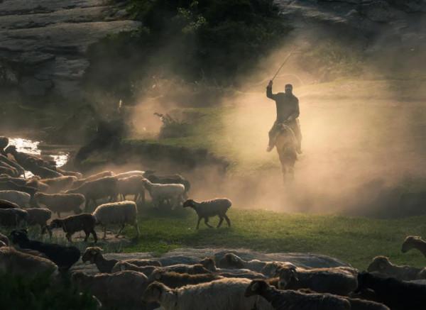 哈薩克人為何把成吉思汗視為祖先和英雄？