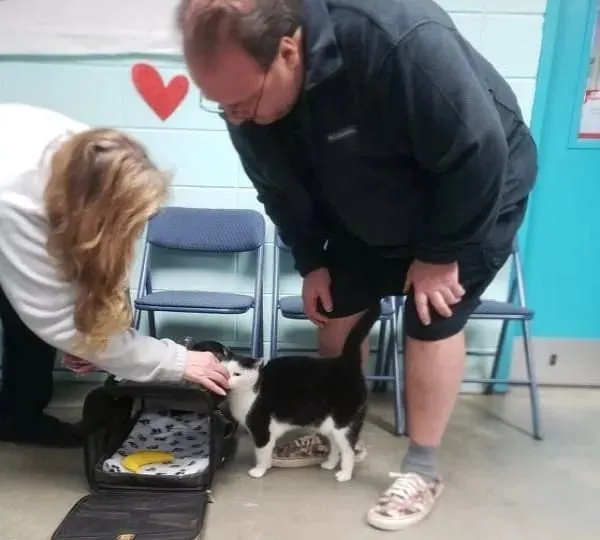 如何搞定世界上最壞的貓咪？這對鏟屎官給出了自己的答案