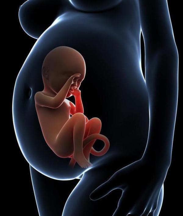 人類的起源竟有可能來源自外太空 人類的起源竟有可能來源自外太空