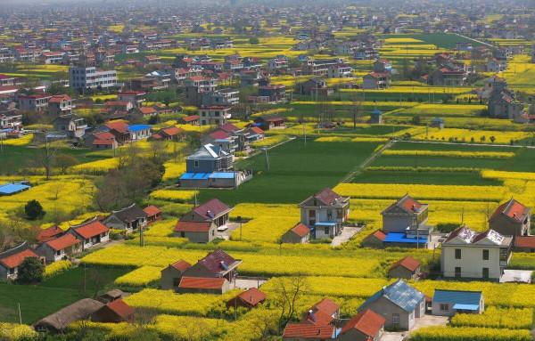 江蘇將建11個地級大城市，9市入選II型大城市、2市入圍I型大城市