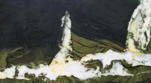 畫面石的寫實與寫意 畫面石的寫實與寫意