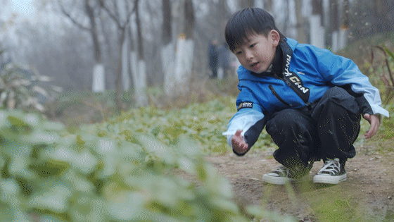 北京冬奧會倒計時46天：這些神秘細節提前曝光